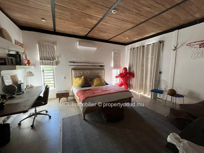 Magnificent 450m2 luxury property 
