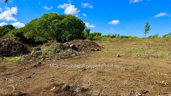 Daruty Forest Charmoses — Magnificent plot nestled in a preserved and secure natural environment