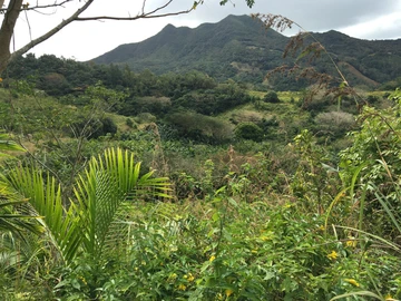 Agricultural Land