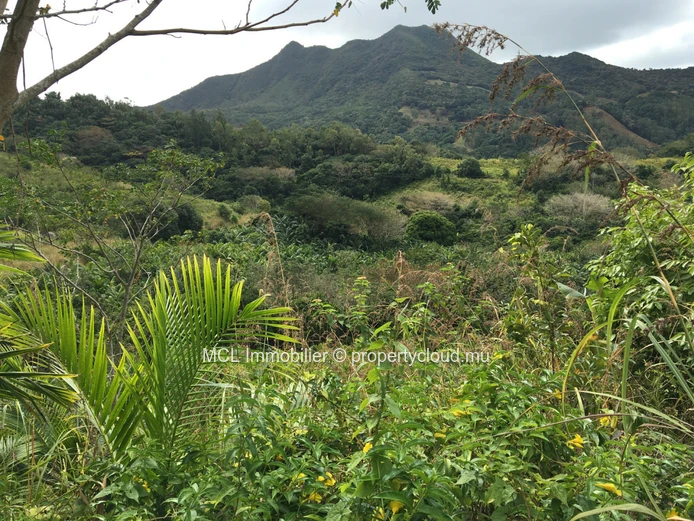 Agricultural land of 39,761 m2 in Anse Jonchee