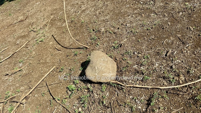 Daruty Forest Charmoses — Magnificent plot nestled in a preserved and secure natural environment