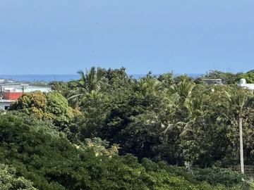 Terrain