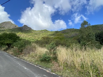Terrain