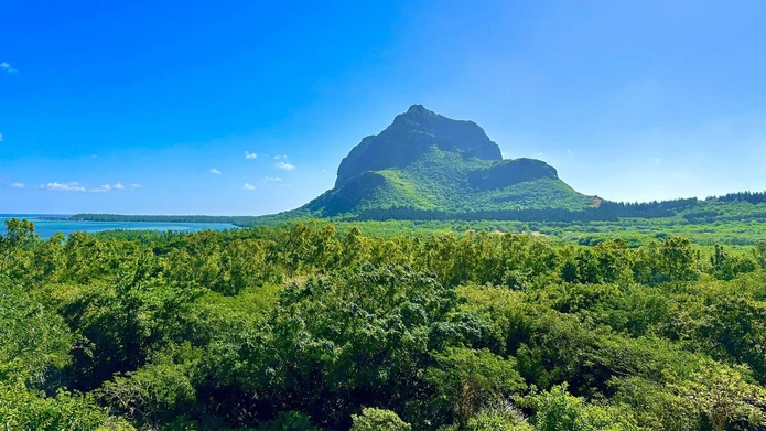 Agricultural land of 50,652 m2  for sale in Le Morne