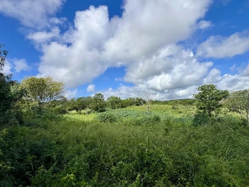 Agricultural Land