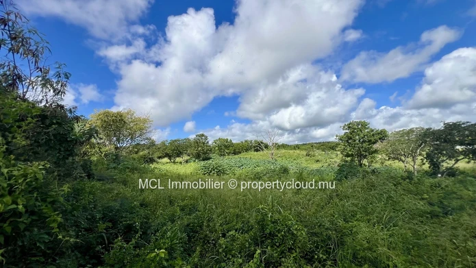 Daruty Forest Charmoses — Magnificent plot nestled in a preserved and secure natural environment