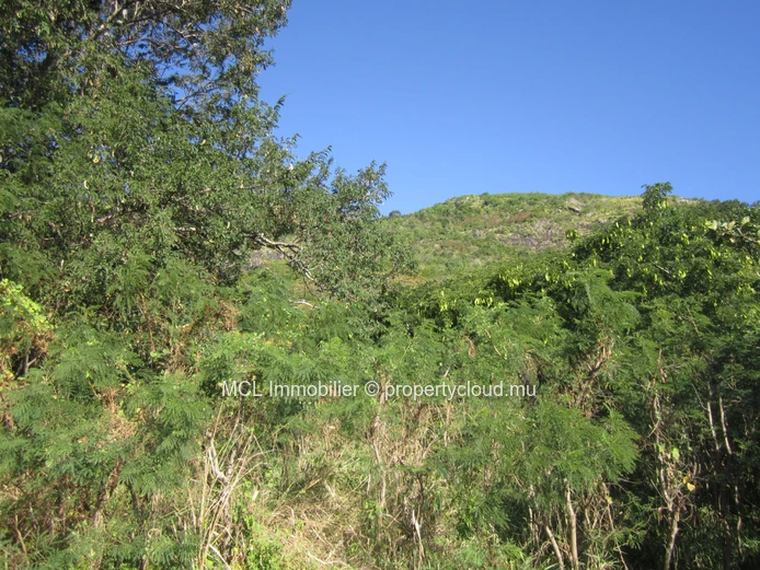 Residential land of 7,851m2 in Pailles