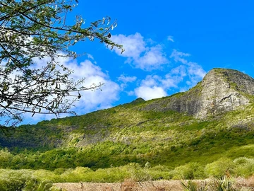 Terrain