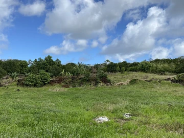 Agricultural Land