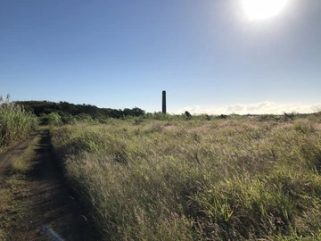 Agricultural Land