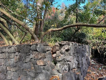 Terrain