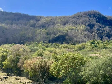 Agricultural Land