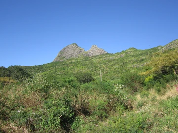 Terrain
