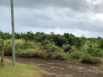 Agricultural Land