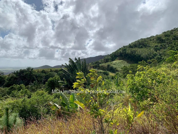 Agricultural land of 2,120.85m2 in Pamplemousses