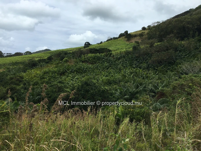 Agricultural land of 39,761 m2 in Anse Jonchee