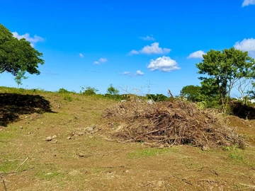 Agricultural Land