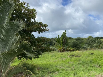Agricultural Land