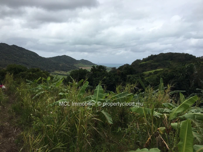 Agricultural land of 39,761 m2 in Anse Jonchee