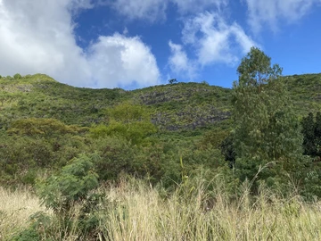 Terrain