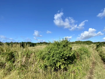 Agricultural Land