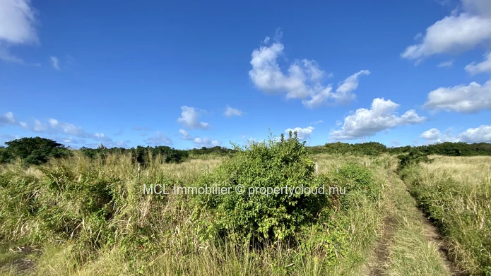 Agricultural land of 5,976.12m2 in Upper Vale