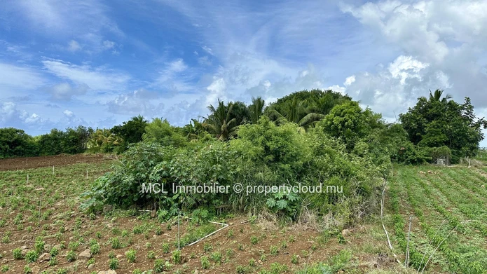 57 perches of agricultural land for sale at Domaine l'Ile d'Ambre .