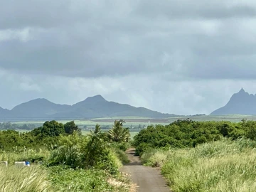 Agricultural Land