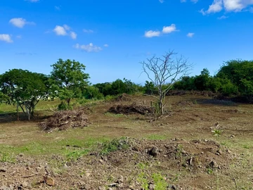 Agricultural Land