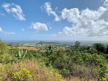 Agricultural Land