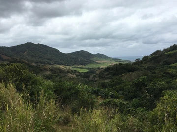 Agricultural Land