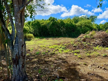 Agricultural Land