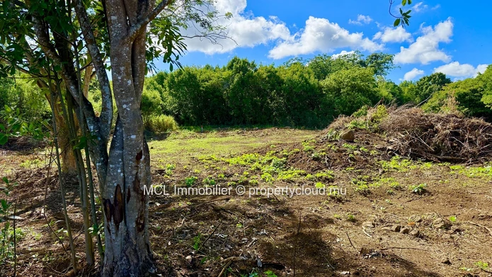 Daruty Forest Charmoses — Magnificent plot nestled in a preserved and secure natural environment
