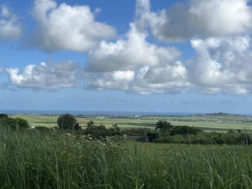 Land