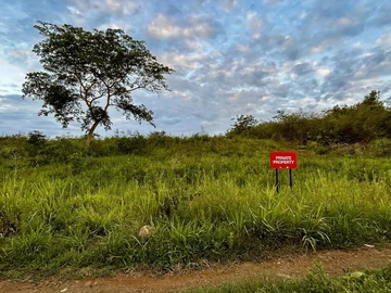 Agricultural Land