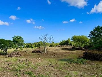 Agricultural Land