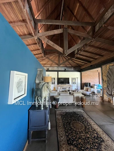 Magnificent 450m2 luxury property 