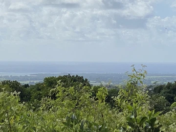 Agricultural Land