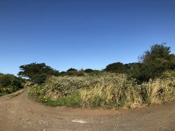 Agricultural Land