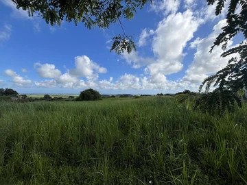 Land
