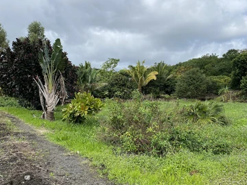 Agricultural Land