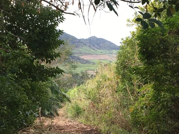 Agricultural Land