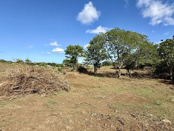 Agricultural Land