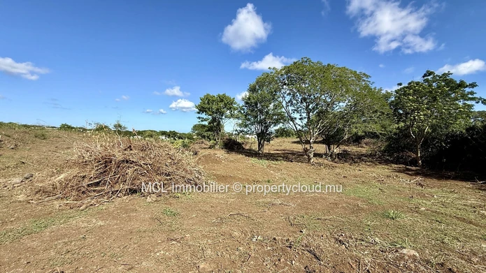 Daruty Forest Charmoses — Magnificent plot nestled in a preserved and secure natural environment