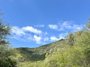 Terrain