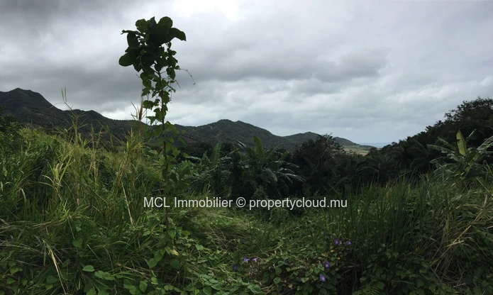 Agricultural land of 39,761 m2 in Anse Jonchee