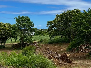 Agricultural Land