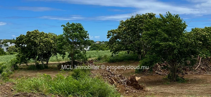 Daruty Forest Charmoses — Magnificent plot nestled in a preserved and secure natural environment