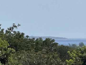 Terrain