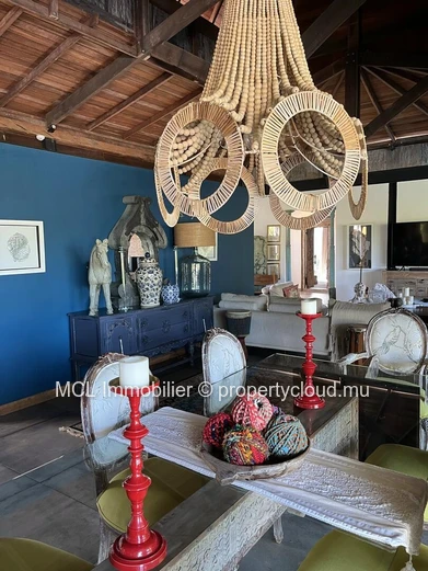 Magnificent 450m2 luxury property 